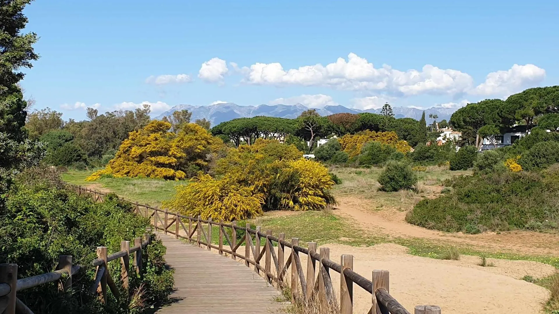 Dunas Cabopino By Houselogy Marbella